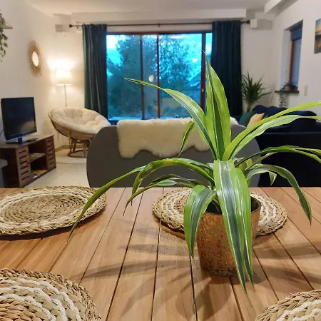 - Terrasse - Beaucoup D'activites דורבורי